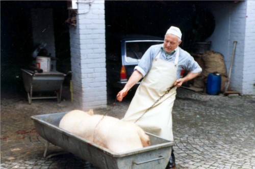 Borstenentfernung mit Br�hkette